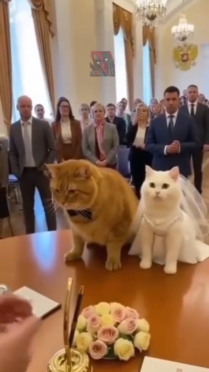 Согласны ли вы, напишите в комментарии 🤯🫶🙀