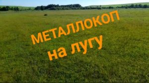 МЕТАЛЛОКОП НА ЛУГУ/АРХИВ/ОТЛИЧНОЕ ЖЕЛЕЗО СССР/ДОПОЛНИТЕЛЬНЫЙ ЗАРАБОТОК
