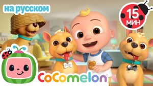 🐶 Песенка про Собаку! # CoComelon на русском — Детские песенки