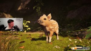 Maddyson - играет в Adorable Adventures