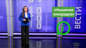 Инструкция - Мышиная лихорадка