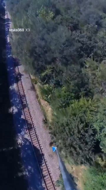 Опилка деревьев вдоль ж/д путей.
