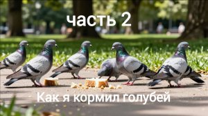 Часть 2. Как я кормил голубей. Они такие милые 🥺