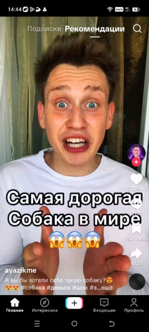 кен