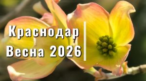 Краснодар. Весна 2026 в Парке Галицкого✅