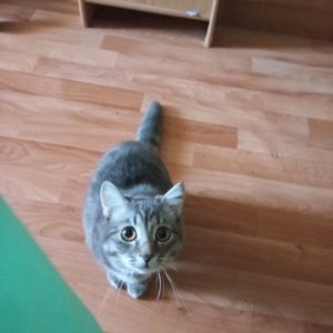 учу плести из бисера колечко, и закачивать его
