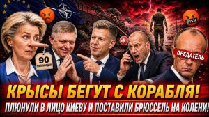 Брюссель СГОРЕЛ от позора за 7 дней!: Мерц тайно ПРИКАЗАЛ СДАТЬ Украину? → 👤 #АНАЛИТИК_ВИКТОР_ГРОСС