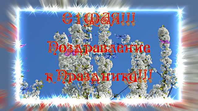 С 1 МАЯ!!! Поздравление к празднику 2 от Киностудии Мудрого Кота Тимофея!