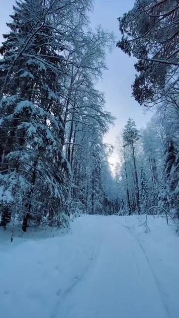 Волшебный русский север