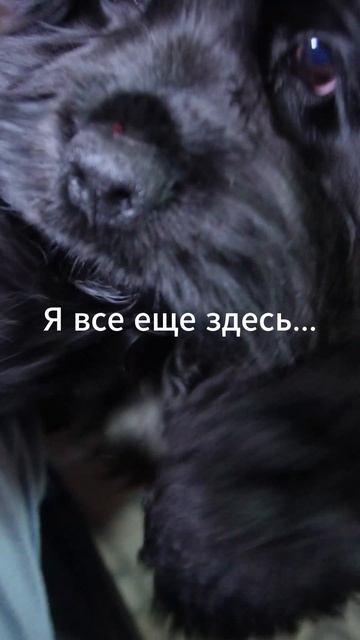 Я все еще здесь...