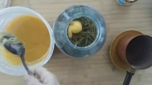 Хвойный квас - рецепт