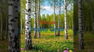 Prosto Gena - Россия