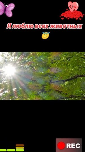 Животные приколы и не только😅