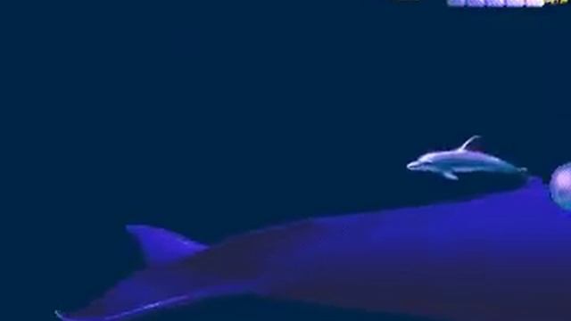 Ecco - The Tides of Time