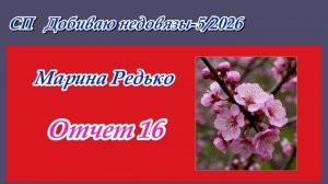 СП «Добиваю недовязы-5/2026» / Отчет 16