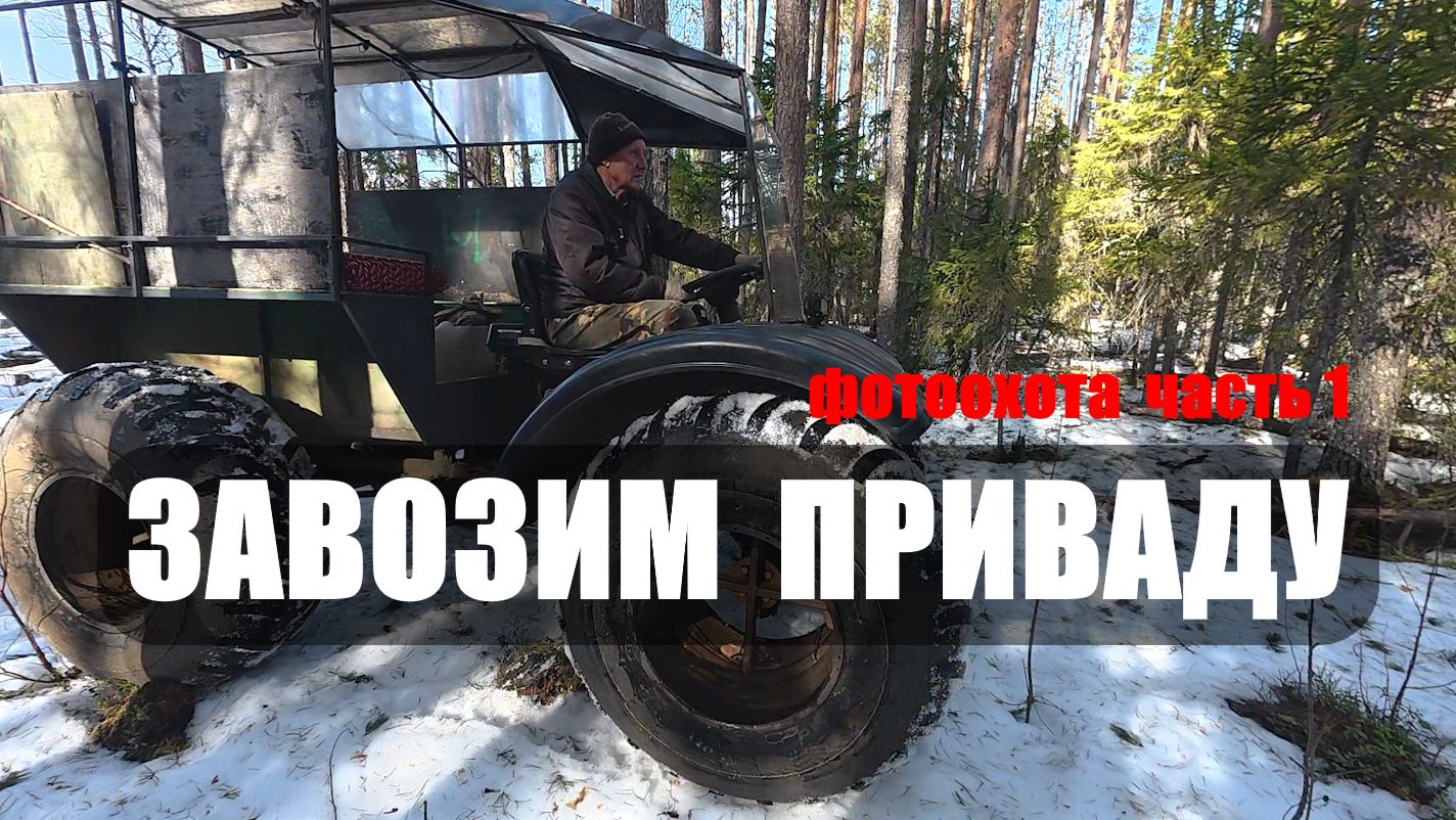 Фотоохота 2026г.(часть 1). Подготовка. Завозим приваду, установил камеру.