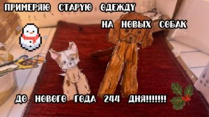 Примеряю старую одежду на новых собак