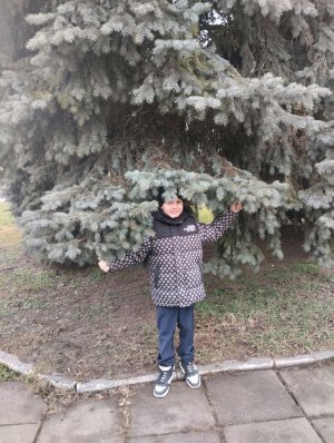 вопрос и ответ