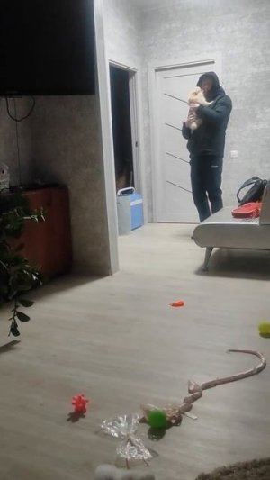 Щенячья радость!