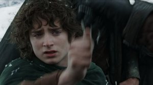 The Lord of the Rings: The Fellowship of the Ring (movei, 2001)