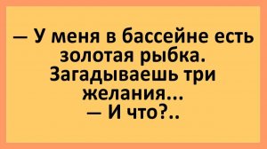 У меня в бассейне есть золотая рыбка. Загадываешь три желания... | Анекдоты смешные | Юмор