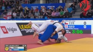 Lukas KRPALEK - Guram TUSHISHVILI. +100 kg. Final. Чемпионат Европы по дзюдо 2026