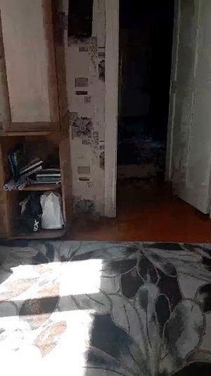 моя трансляция