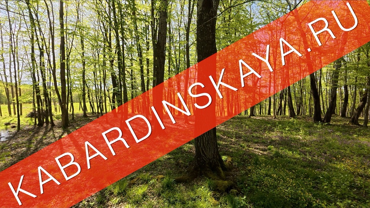 Массив в кабардинской в продаже
