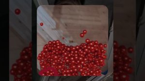 1000057394.mp4 (Собака наблюдает за устройством лестницы на 2-ой этаж в доме А-фрейм)