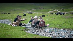 བོད་ཀྱི་གླུ་མ་པད་མཚོའི་ཆེད་སྒྲིག་གཉིས་པའི་གླུ་གཞས་ཁག་གསུམ་༢༠༢༦ ࿉Petso's second album 3 song 2026 FHD