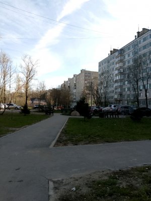 Стрим в честь 1 мая