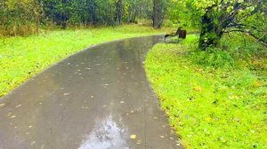 Еще не остыло тело мужа, как любовница приехала подселять в квартиру Вики своих детей