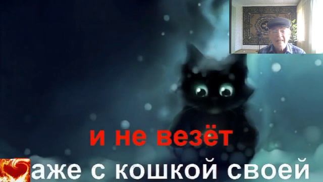 Чёрный кот.