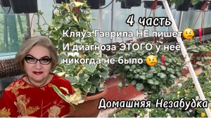 4 часть. Кляуз Гаврила не пишет🤥❗️И диагноза ЭТОГО у неё нет 🤥❗️