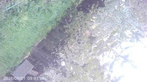 Работа ручным культиватором ТОРНАДО по влажной почве