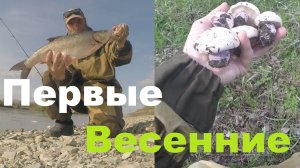 Первые Весенние!