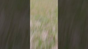 заброшенная психбольница 2