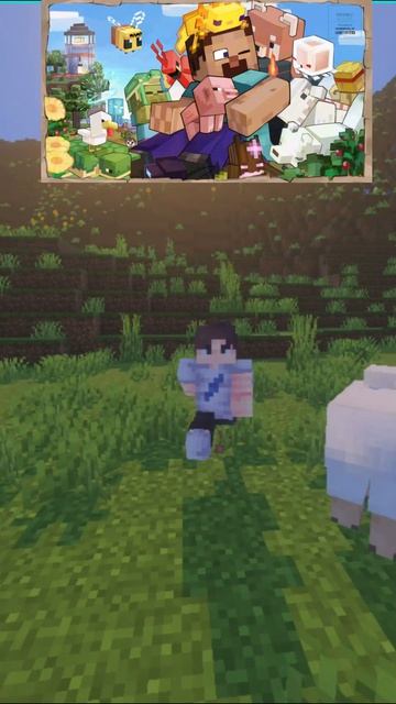 minecraft steve in japan