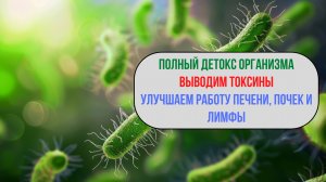 🌿 741 Гц — Детокс организма | Очищение от токсинов и шлаков | Сольфеджио частота 🎵