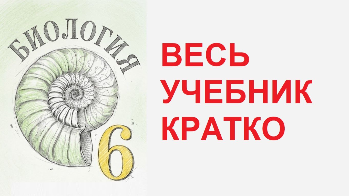 Биология 6 класс краткое содержание параграфов Пасечник