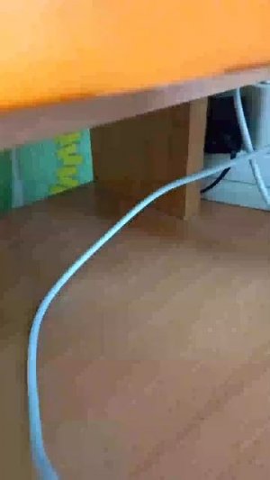 стелла лучшая