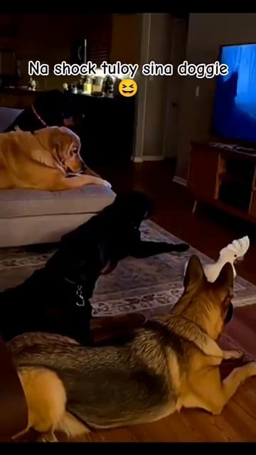 Тот самый бро, который любит навести шороху