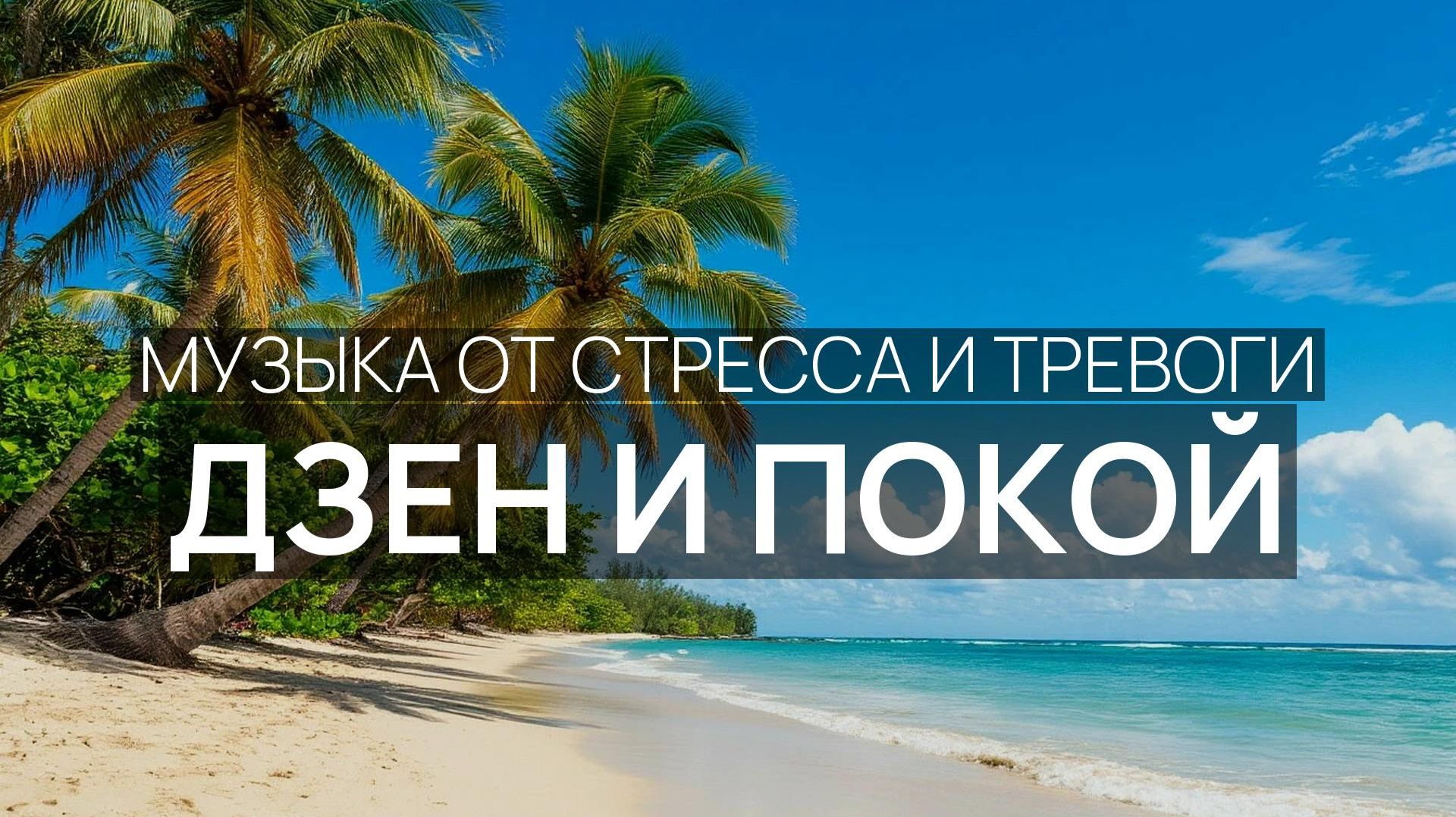 Дзен и покой 🎵 Бирюзовая вода 🌴 Пальмовый рай 🌹
