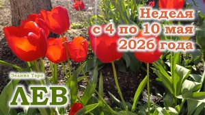 ЛЕВ | ТАРО прогноз на неделю с 4 по 10 мая 2026 года