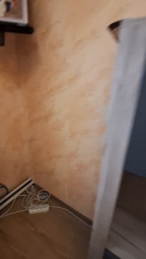 однокомнатная пгт.Ленино