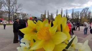 На дворе апрель.... 01.05.26.