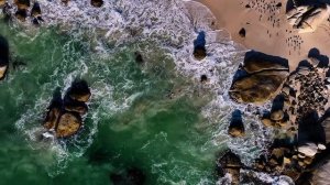 Penguin Beach 🐧 South Africa ｜ Boulders Beach African Penguins ｜ Melodic Deep Housein for Your T