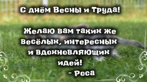 С днём Весны и Труда! | Желаю вам успехов в учебе ещё :3
