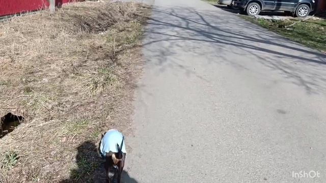 По Первомайской с Моникой