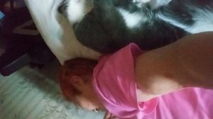 Сосед по кровати 😘